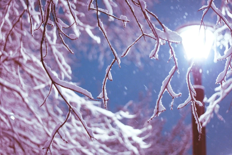 street lamp in the night, covered in snow