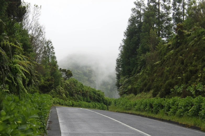 the roadway is full of lush green vegetation and thick clouds