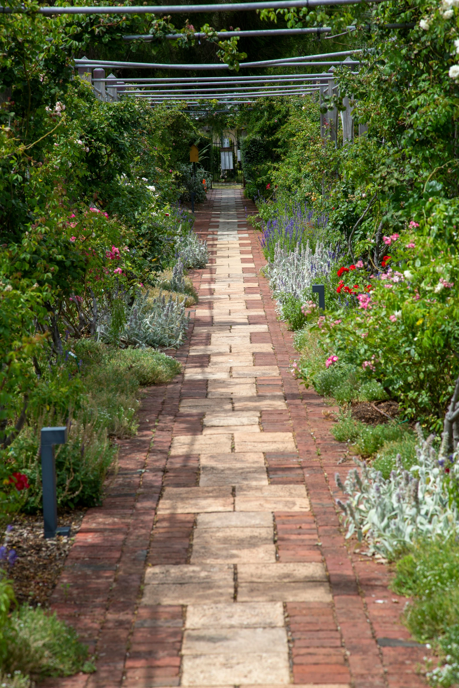 an empty garden walkway in the middle of a flowerbedded field