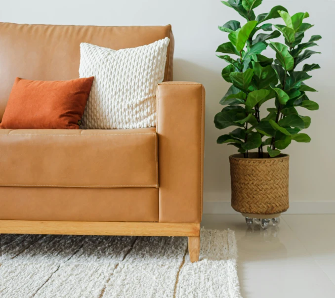 a couch with two different pillows is on a carpet