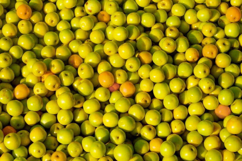 a pile of apples in rows as if for a fruit display