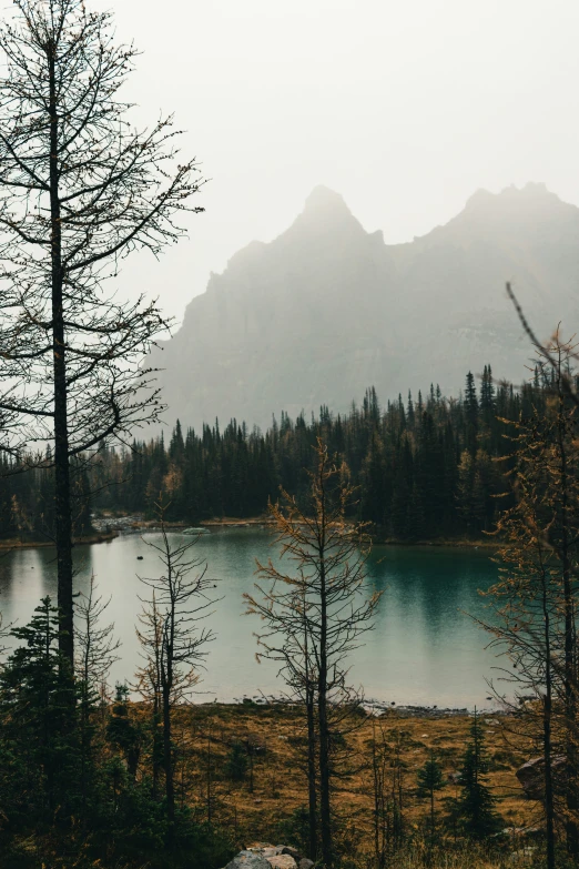 two water reservoirs and some trees in the mountains