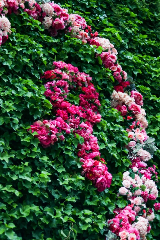 a wall of flowers surrounded by leaves