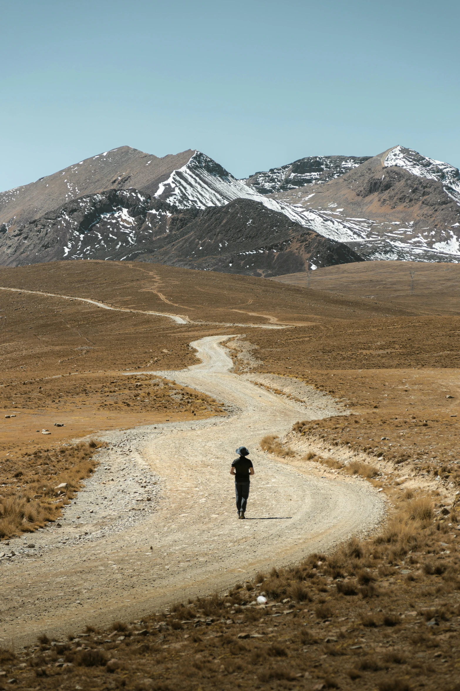 a person walking down a dirt path through the desert