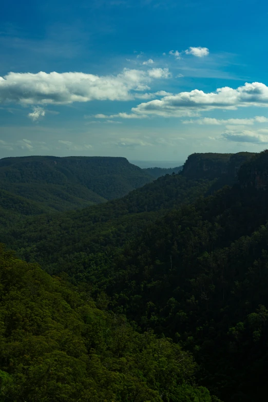 green trees and blue sky are the main feature of this view