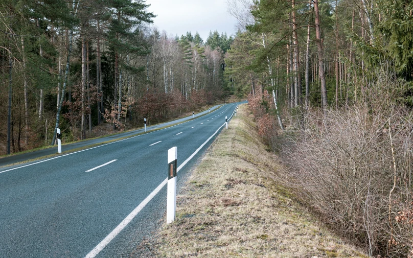 a road in the woods is seen from far away