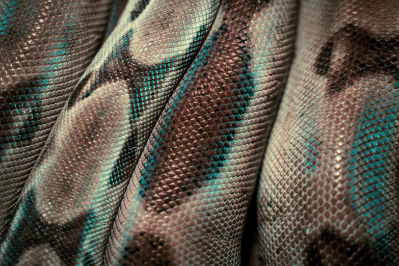 a cloth with a very close up look