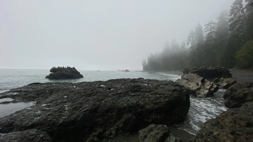 a rock cliff sitting on top of a beach covered in fog