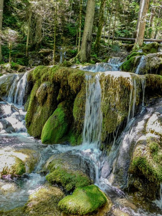 small waterfall surrounded by moss in the woods