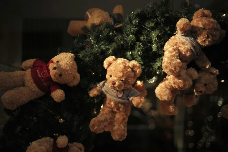 the teddy bears are hanging on a tree