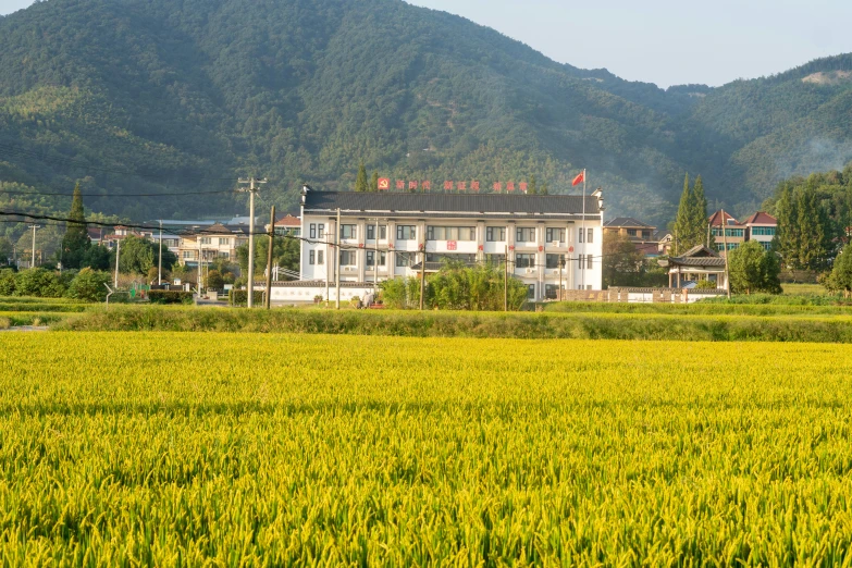 a green field near some buildings and a hill