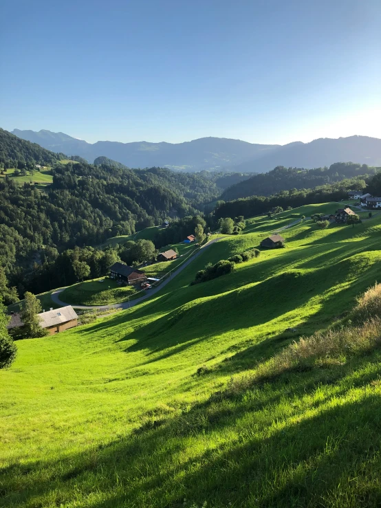 a lush green hillside filled with lush green trees