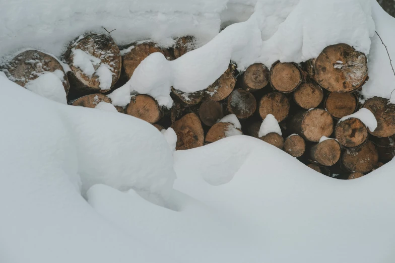 snow covered piles of logs with wooden logs on them