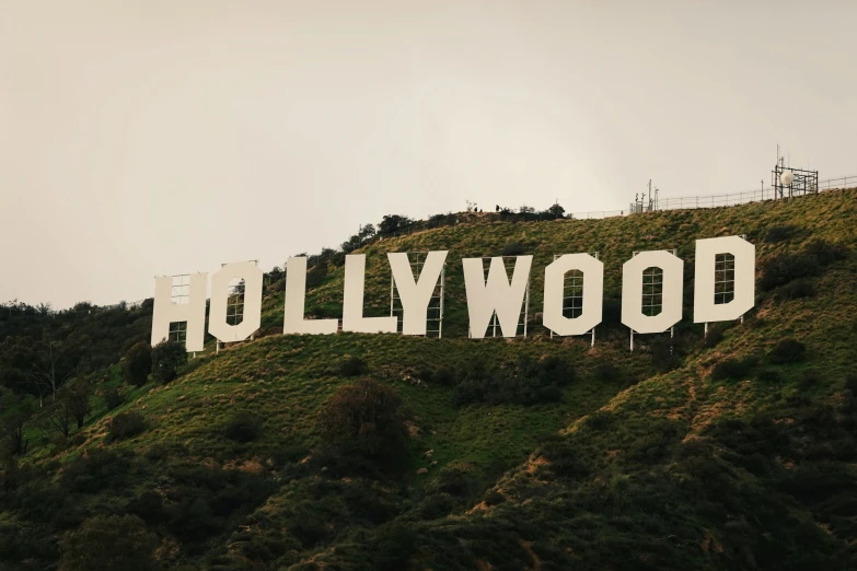 a sign is displayed on a hill with trees and bushes