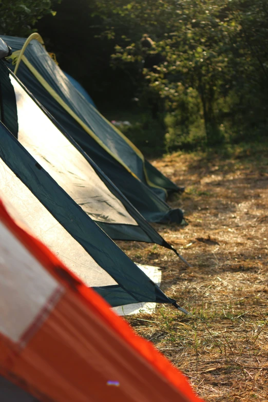 many tents and some flags are lined up in the woods