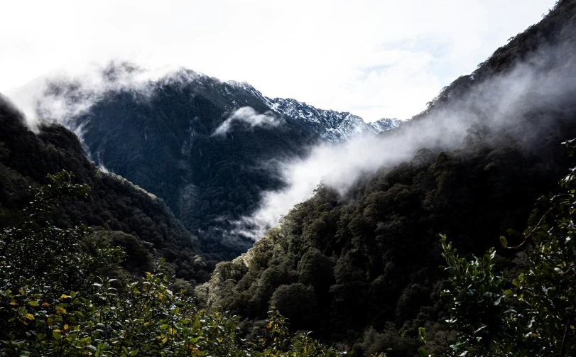 a valley covered in forest with lots of clouds coming from the mountains