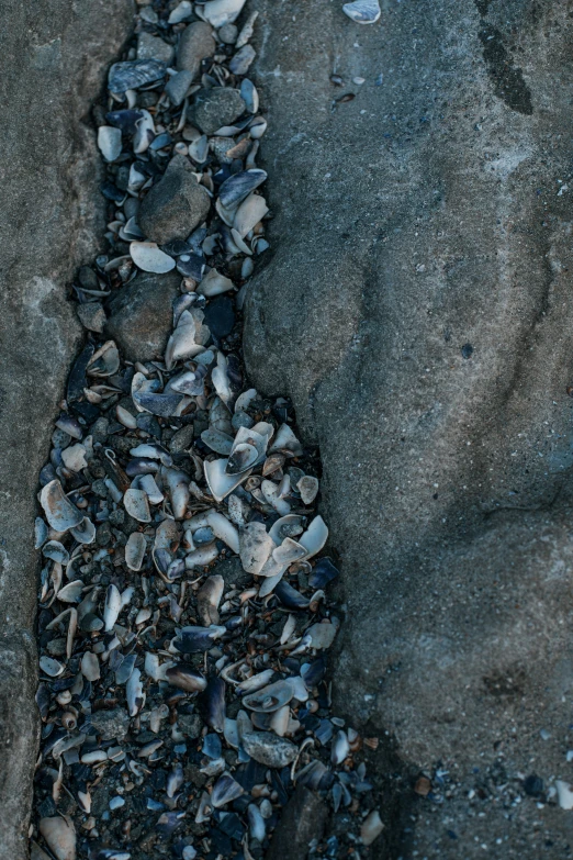 a picture of rocks on the beach and gravel on the ground