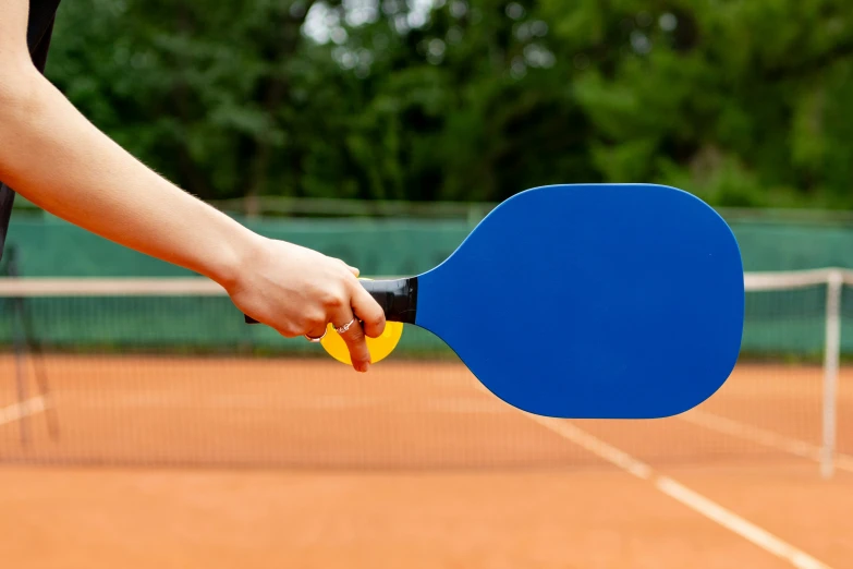 a person is holding a ping pong paddle in the air