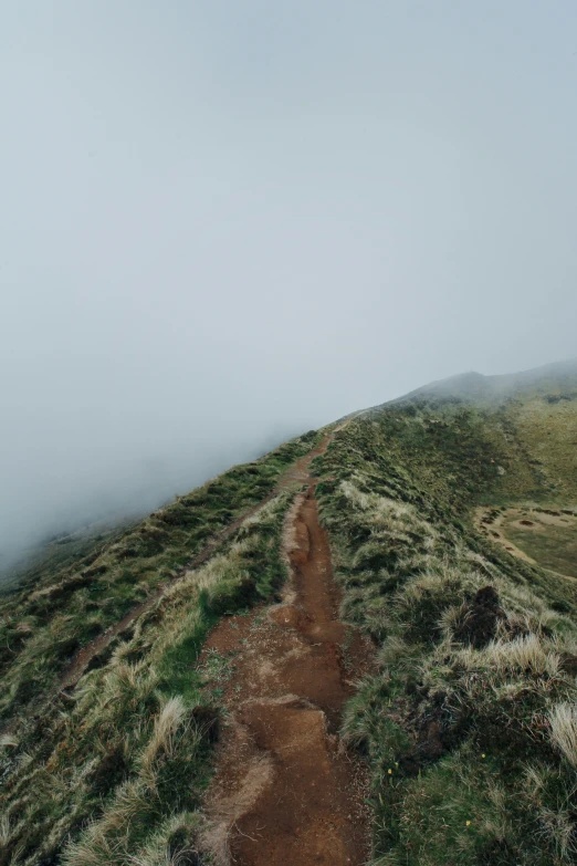 trail on hillside with low clouds and low vegetation