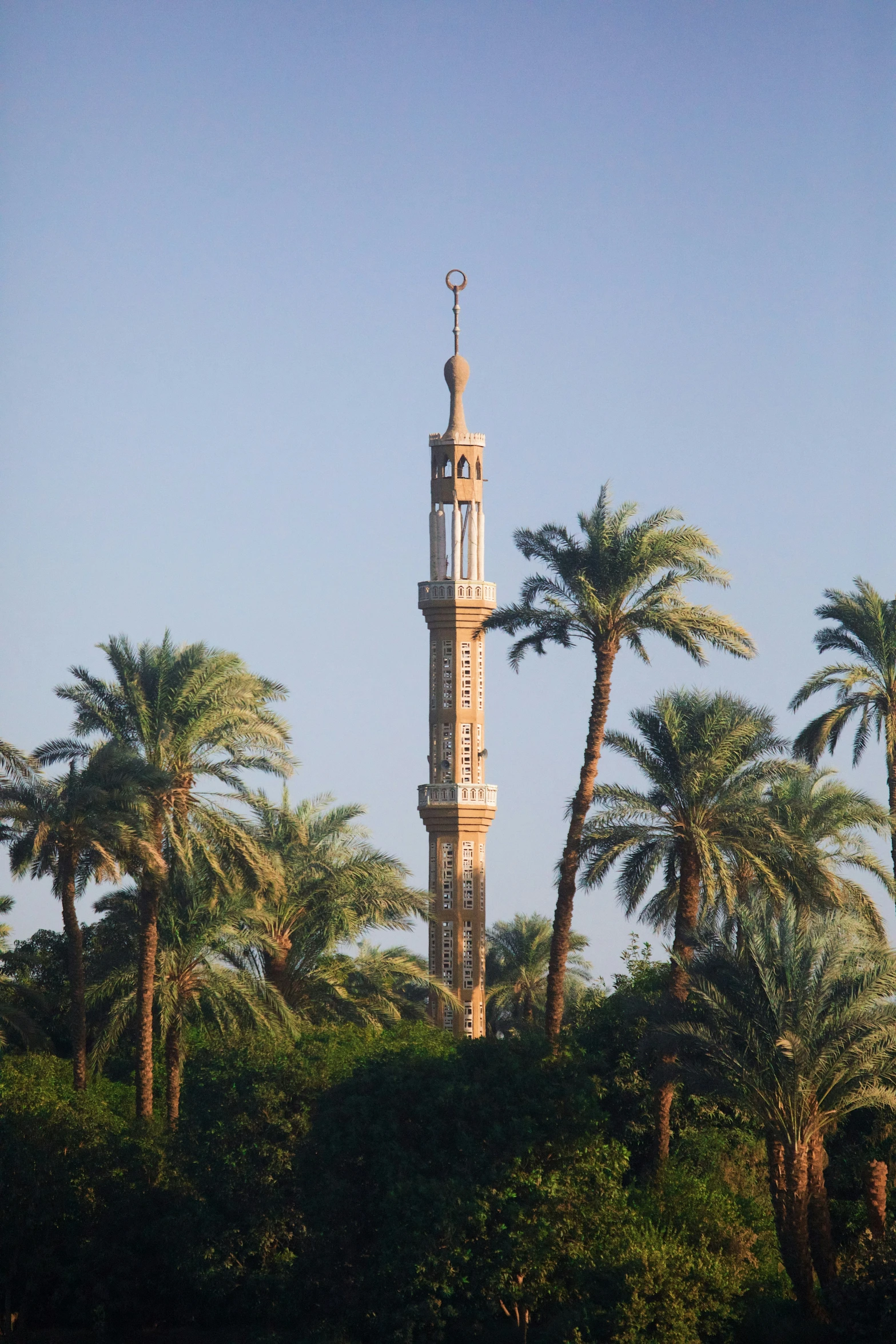 tall tower in the middle of palm trees