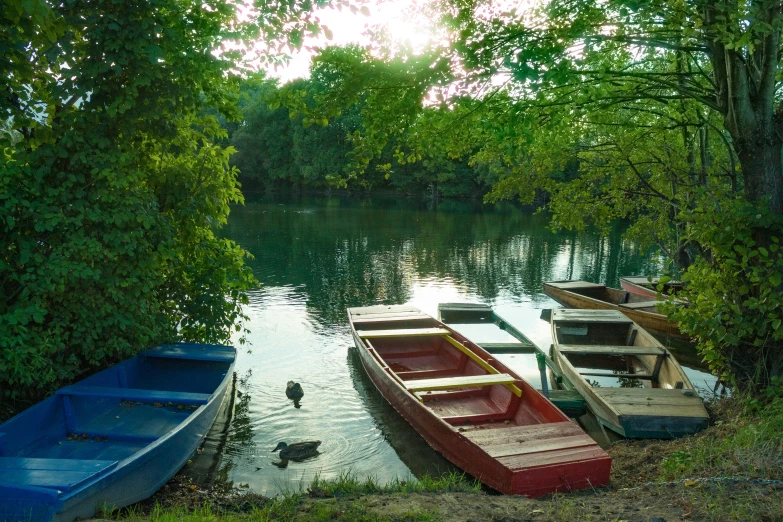 a number of row boats on a body of water near one another