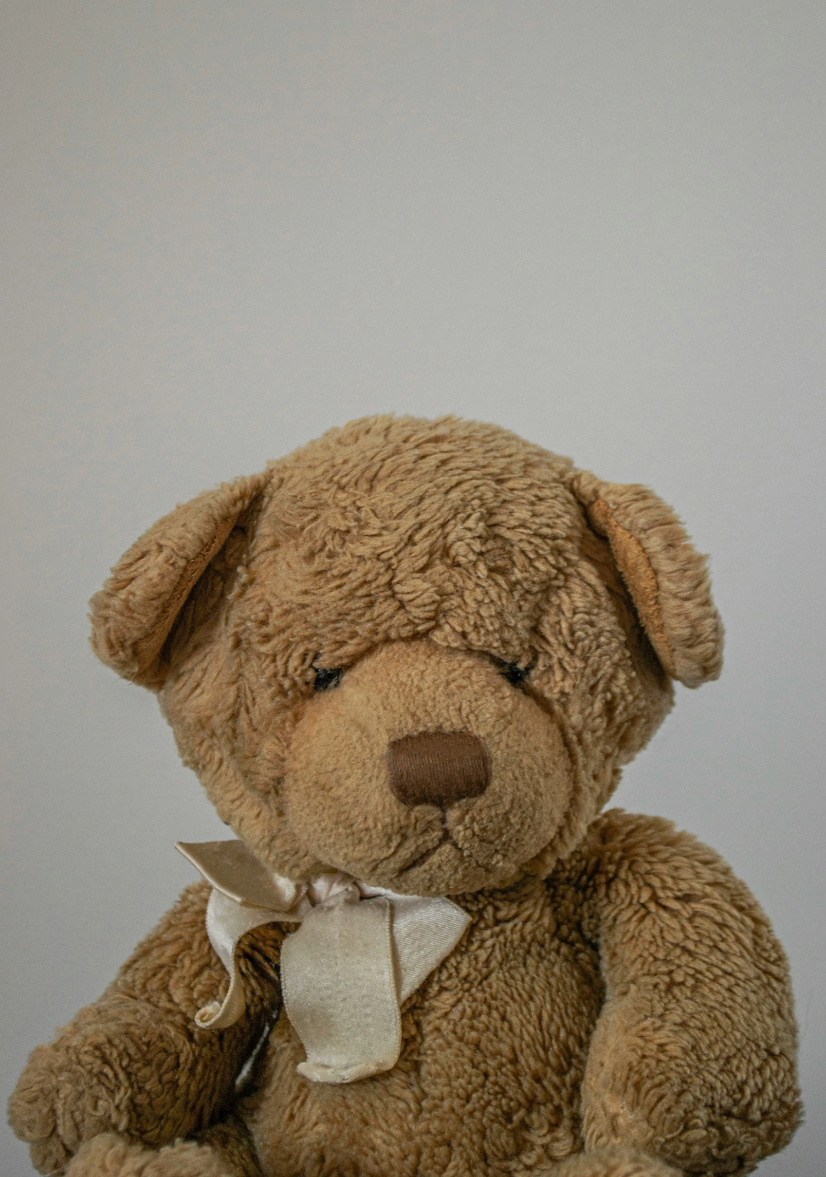 a brown teddy bear sitting up against a white background