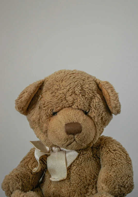 a brown teddy bear sitting up against a white background