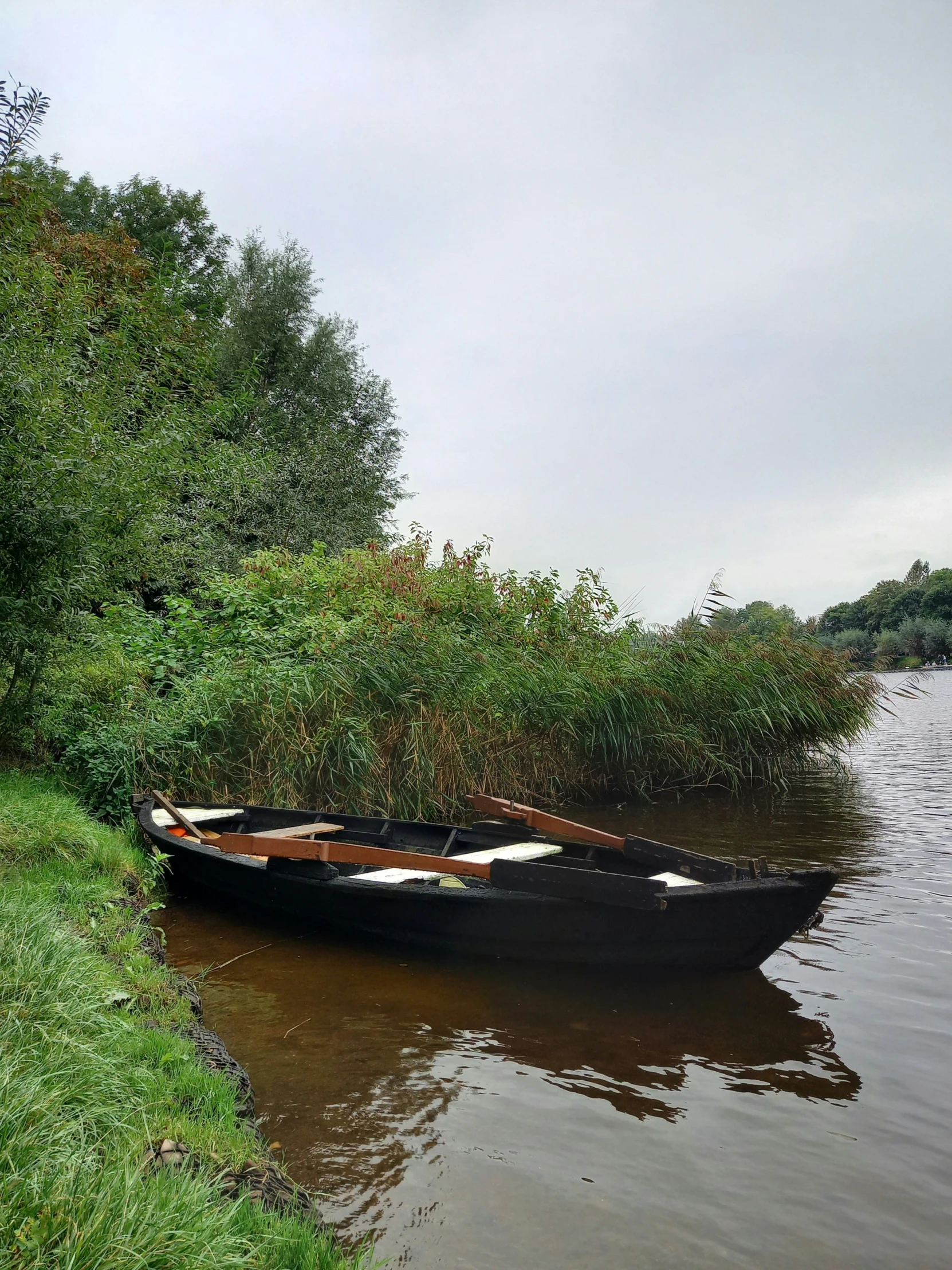 a boat that is tied to a tree by a river