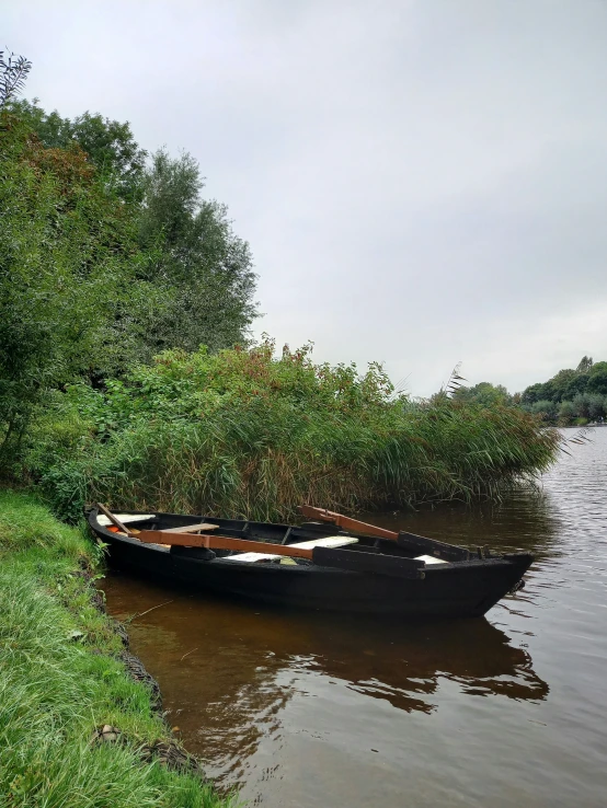 a boat that is tied to a tree by a river