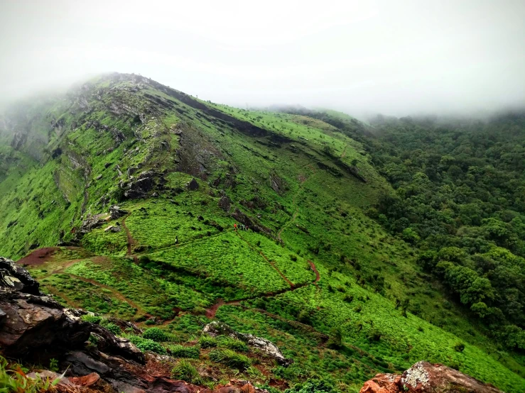 a view of a very tall grassy mountain in the air