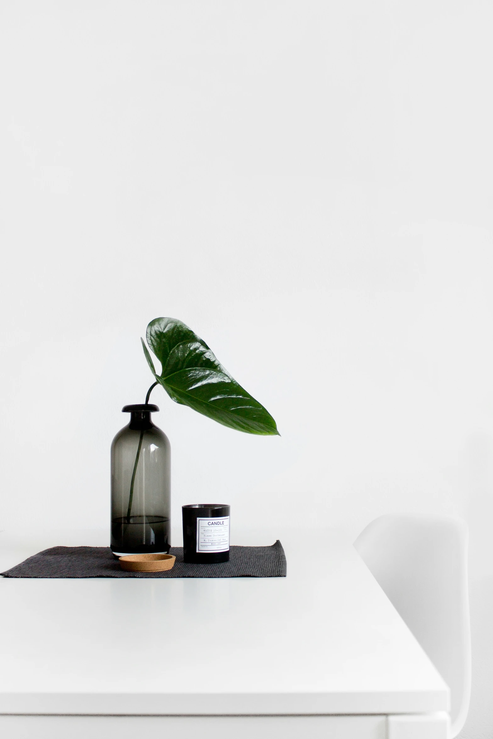 a green plant on top of a white table