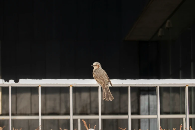 a bird standing on a metal railing in front of an open door