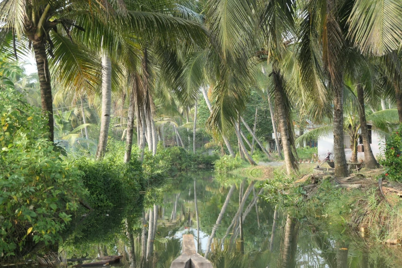 a river with a boat on the side, surrounded by trees