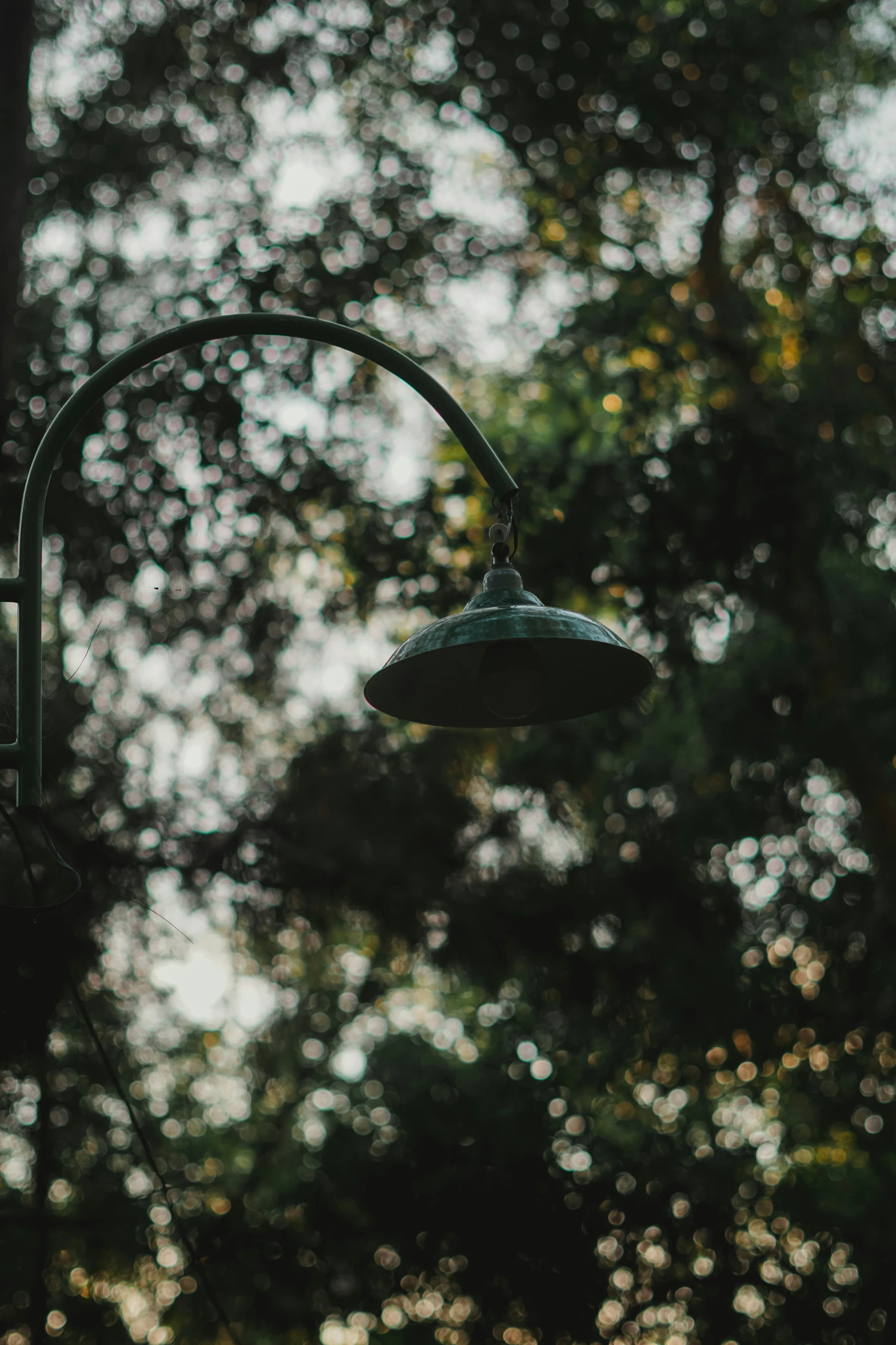 an old fashioned street lamp in the middle of a forest