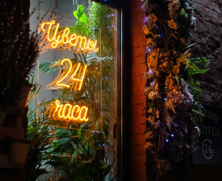 lighted plants are hanging inside of a glass front door