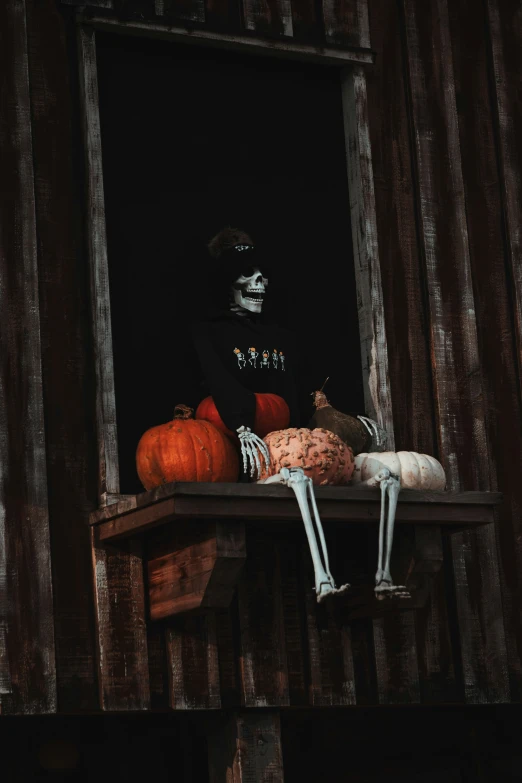 a skeleton statue on a shelf in a window