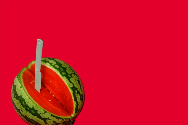 watermelon fruit is shown with the one white straw stuck into it