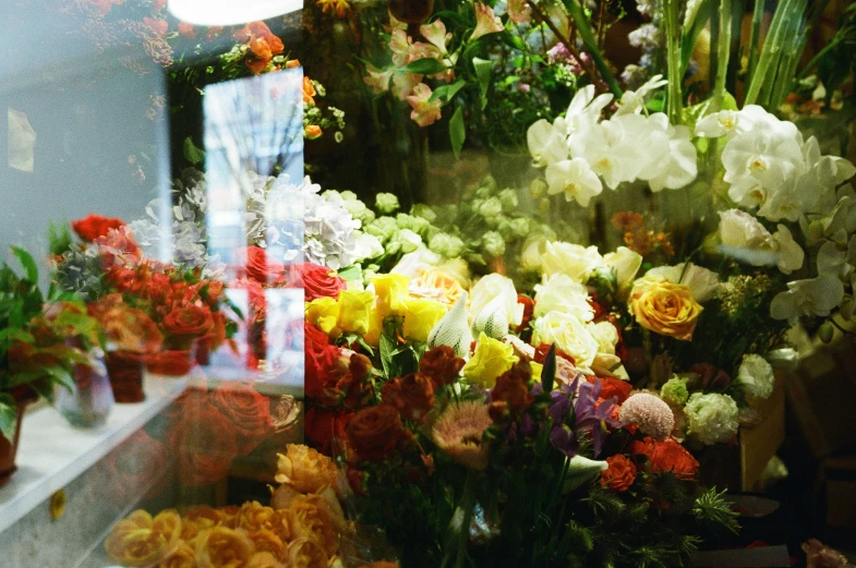 the window display is decorated with flower and potted plants