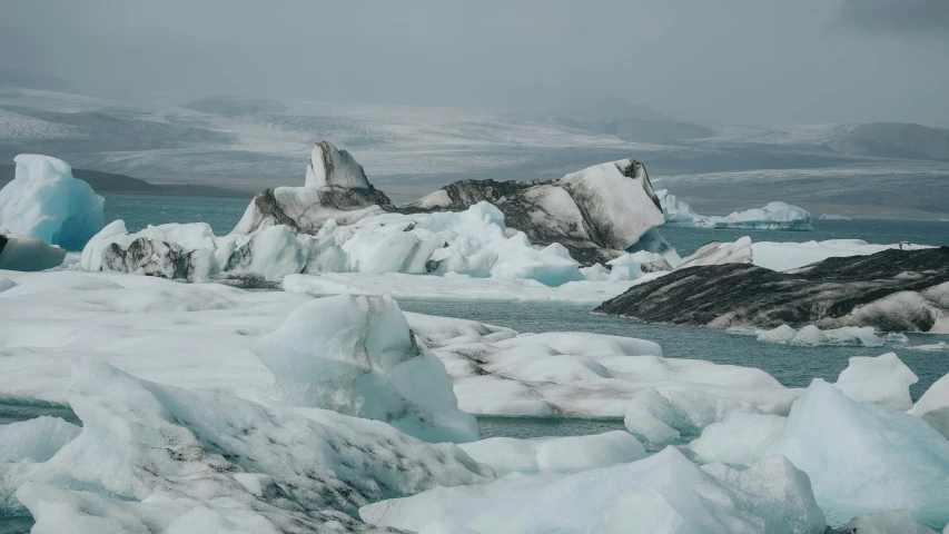 a bunch of ice chunks floating in the water