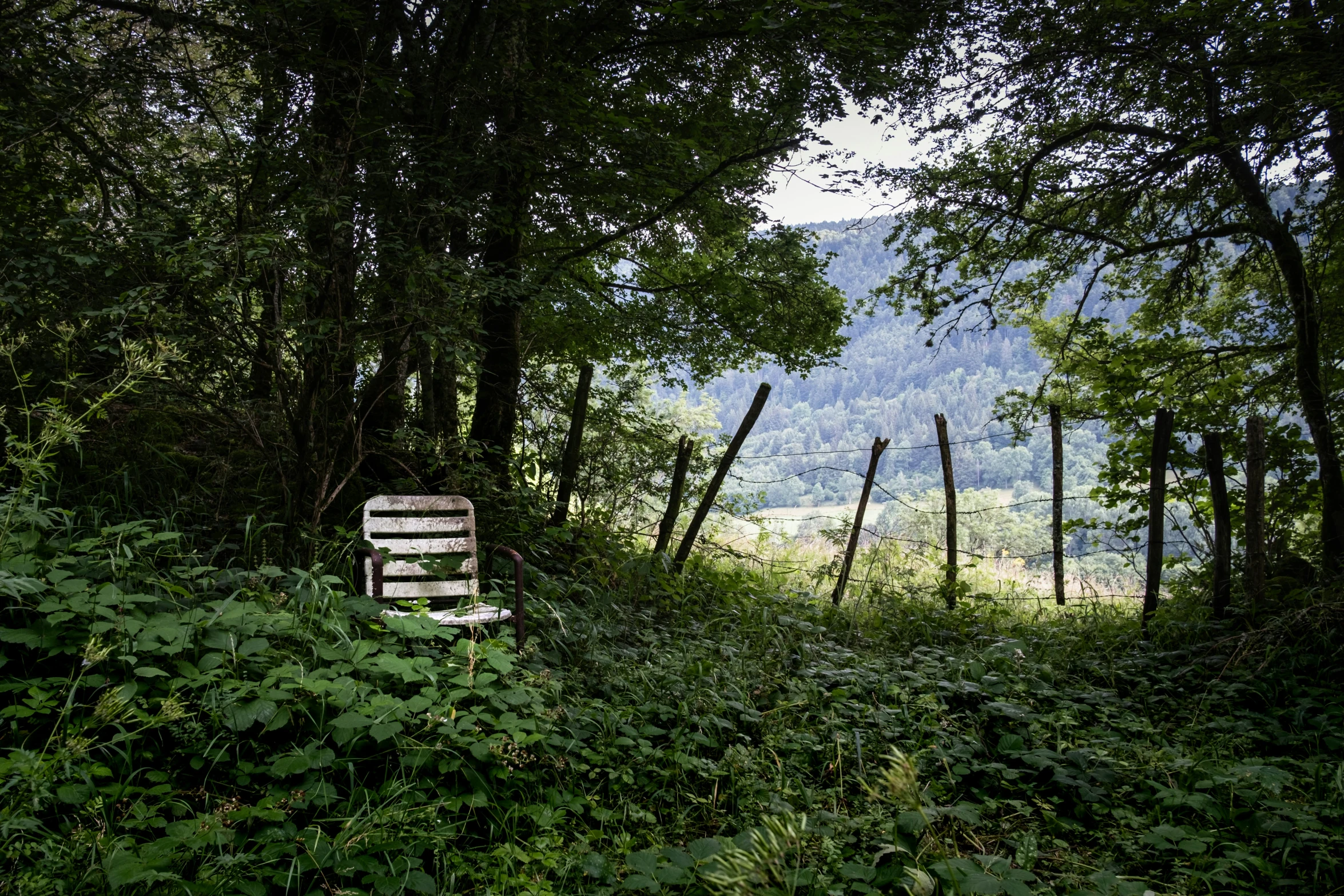 a wooden bench sitting in the middle of a forest