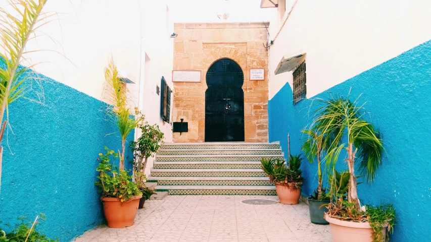 a narrow building has plants and a doorway