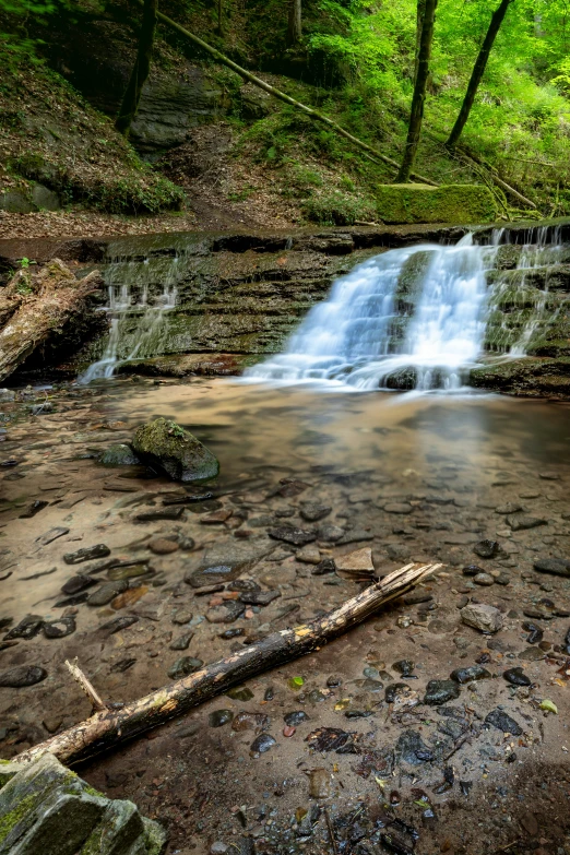 a long and narrow creek that is flowing under a tree