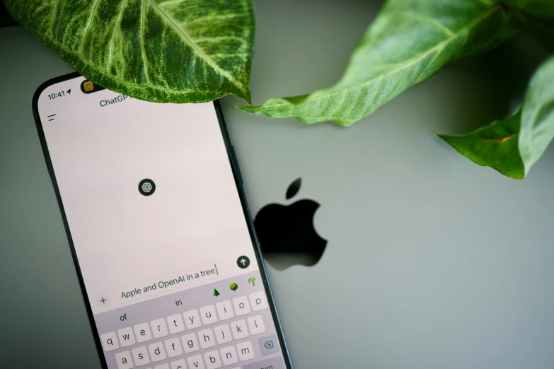 an apple keyboard with some big green leaves