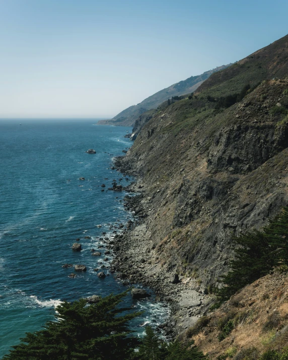 ocean view with trees on cliff above water