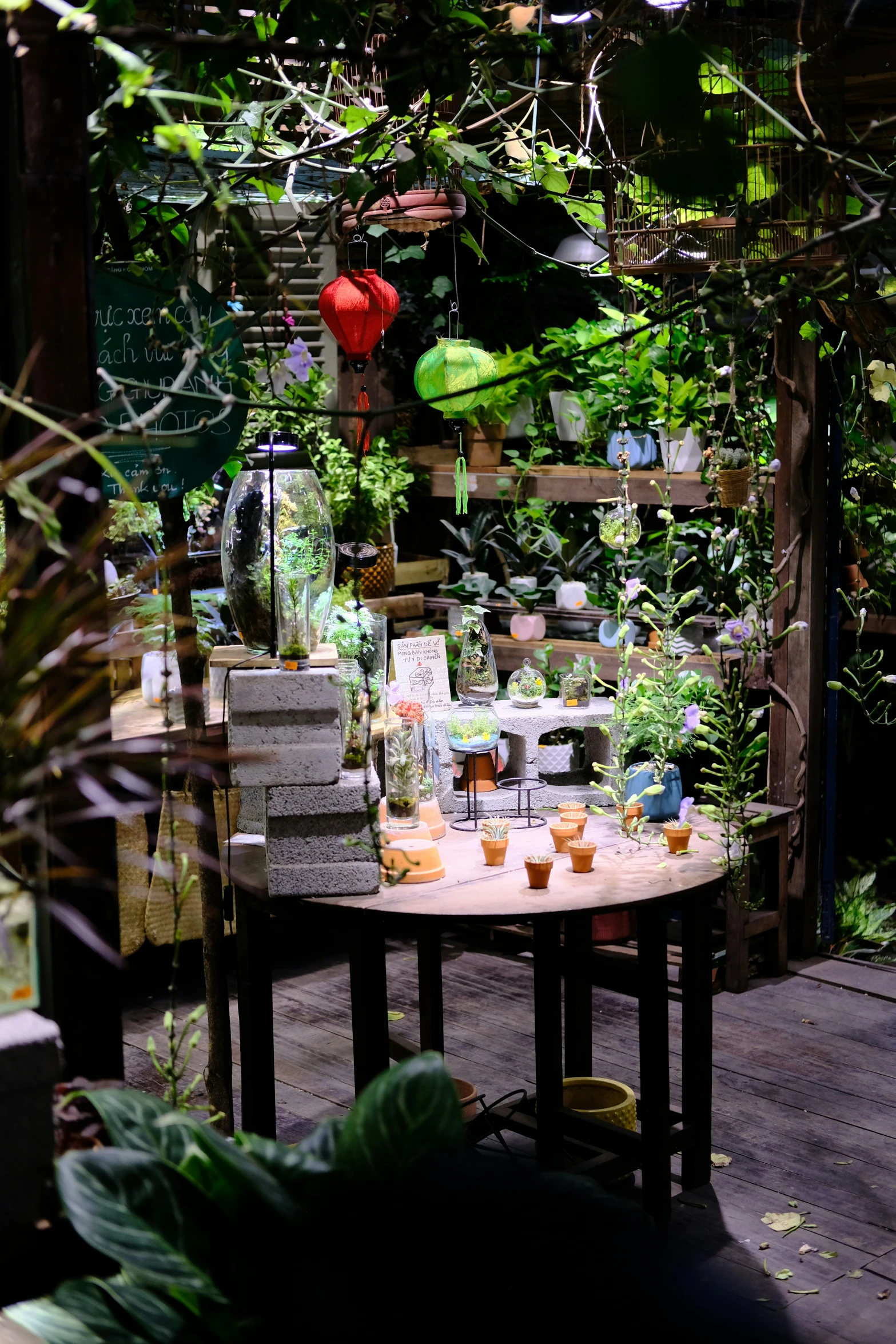 there is a wooden table with plants growing on it