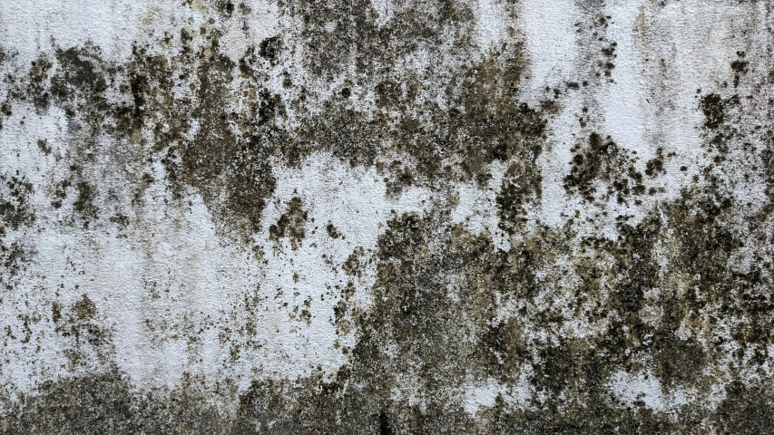 the texture of a concrete wall with rust