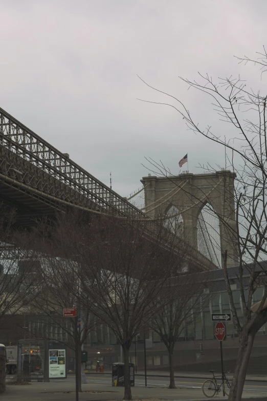 the bridge is suspended above a tree covered sidewalk