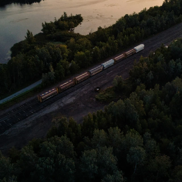 train passing by tree lined river during sunrise