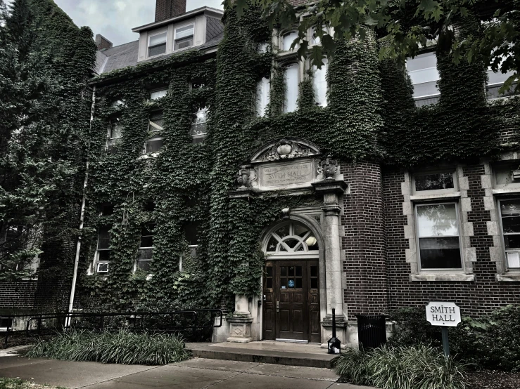 ivy on the side of an old building