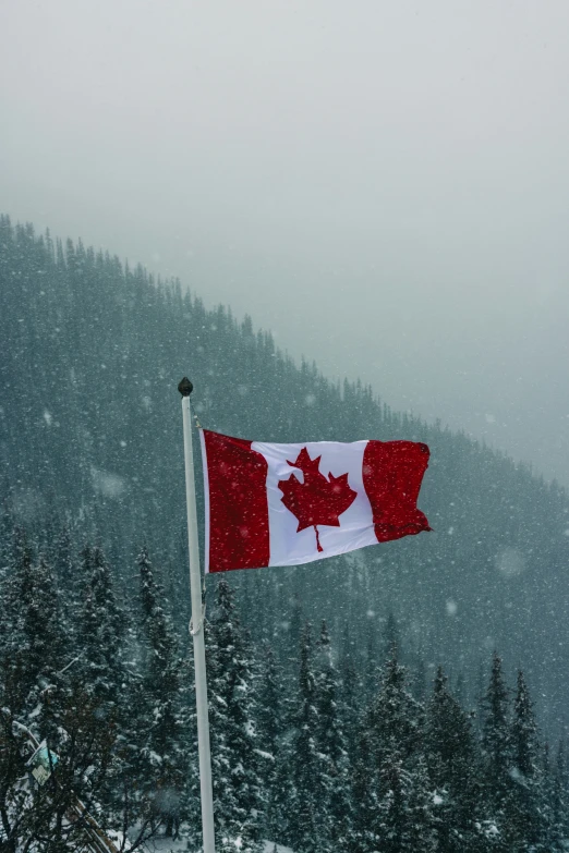 a canadian flag in front of the snowy hill